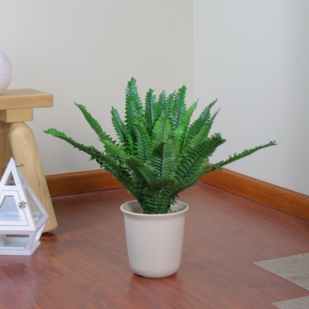 21" Green and Cream White Boston Fern Artificial Potted Plant Northlight Seasonal