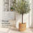 2-Piece Round Baskets-2026060940