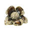 CHARTRES KNOB; RED MAHOGANY; DECORATED WITH SWAROVSKI® SILK CRYSTALS; MUSEUM GOLD PLATE