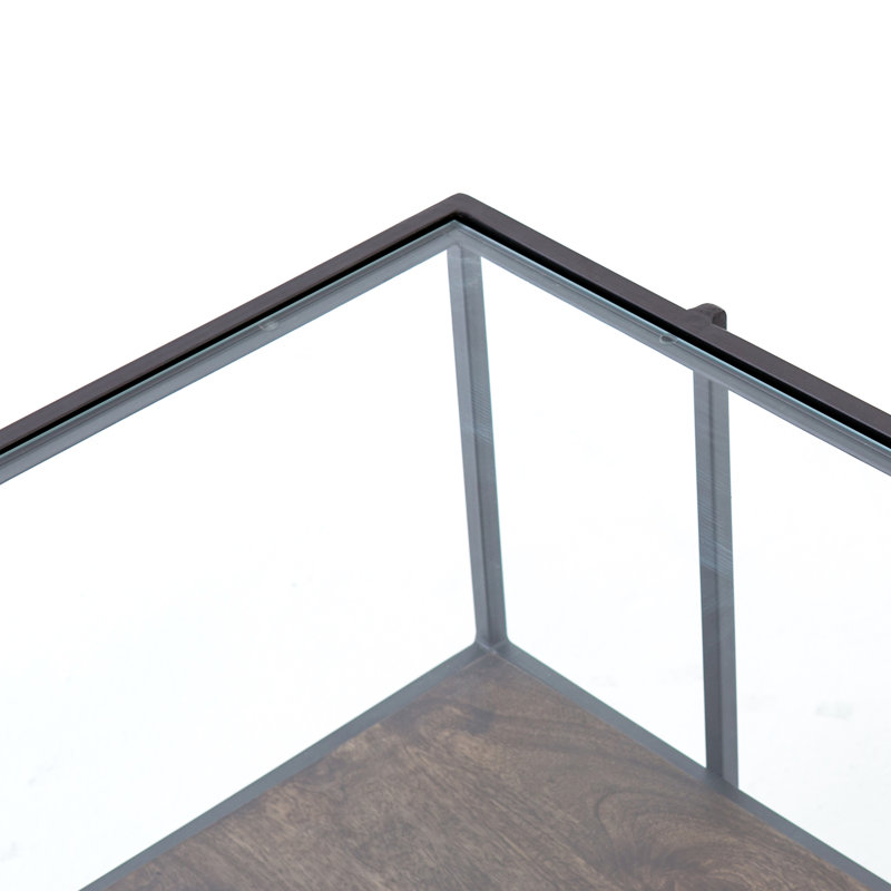 Glass Top Single Coffee Table