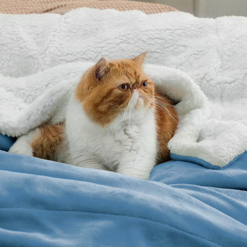 Couverture polaire sherpa Bedsure GentleSoft pour lit simple, épaisse et confortable pour l'hiver et l'automne, douce et moelleuse pour le canapé et le lit