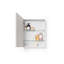 Slimline 18'' W Mirrored Medicine Cabinet-519961535