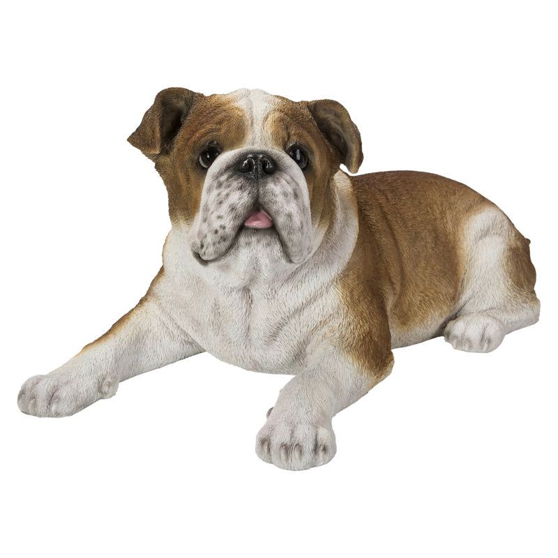 Bouledogue couché