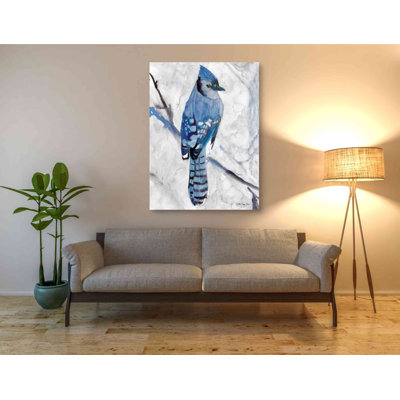'Blue Jay 1' by Stellar Design Studio, Canvas Wall Art