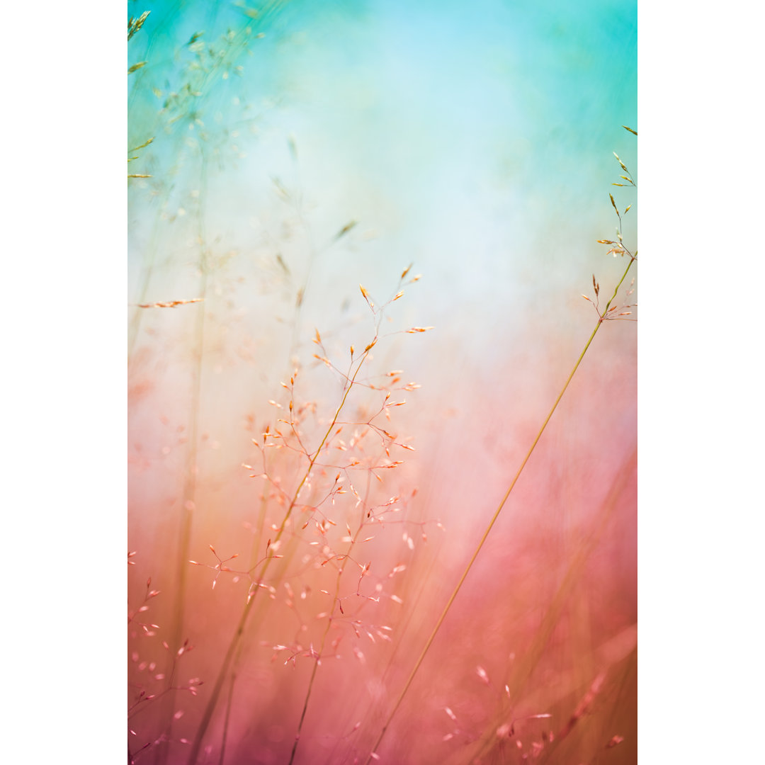 Silhouette von Wildblumen auf einer Wiese bei Sonnenaufgang oder Sonnenuntergang