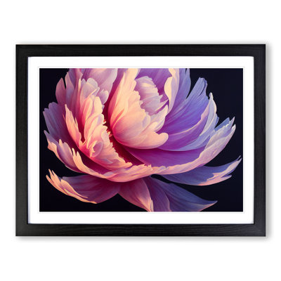 Incredible Peony Flower - Single Picture Frame Print