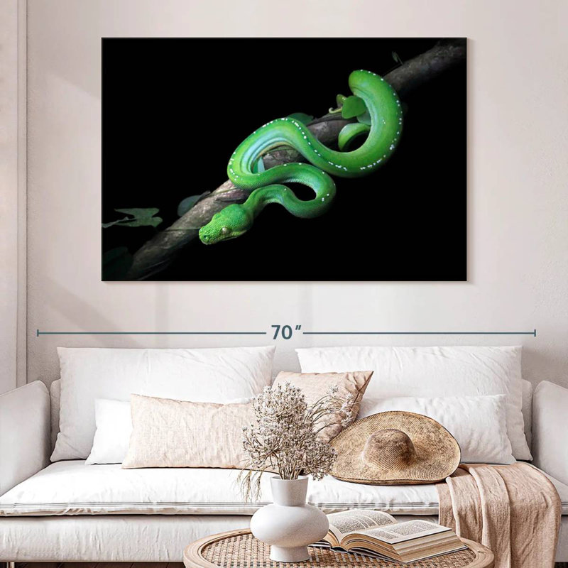 Python vert Brampt glissant sur une branche, H 24 po x l 36 po