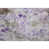Purple selected