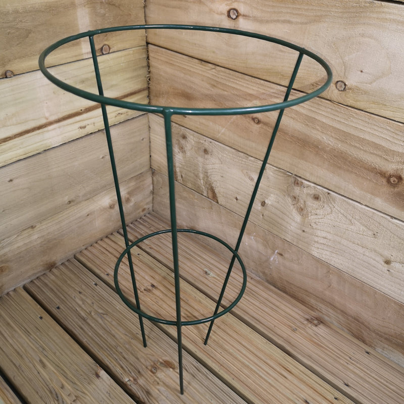 Metal Plant Support
