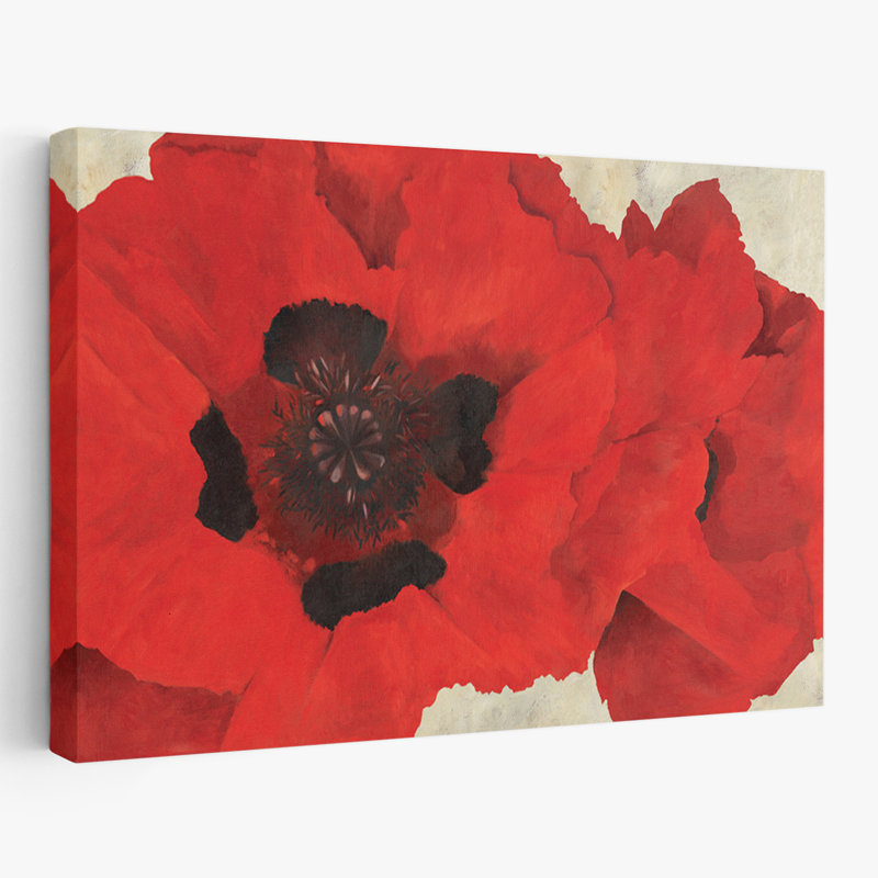 «Plants, Flowers, All About Poppies», art mural, H 16 po x l 24 po