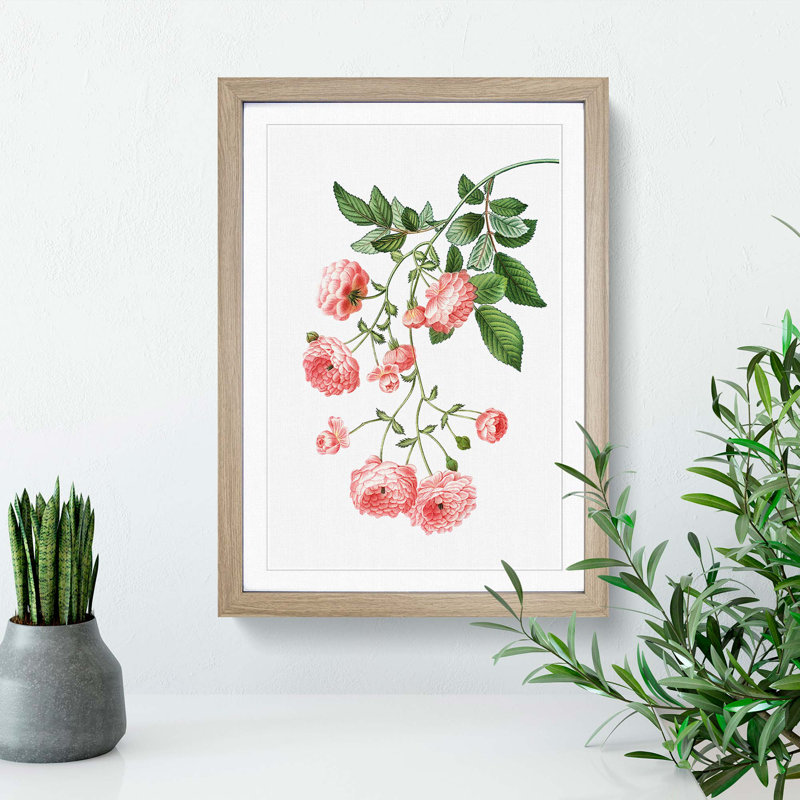 Rambler Roses by Pierre-Joseph Redoute - Picture Frame Painting Print, 48cm H x 36cm W x 2cm D, Oak Framed