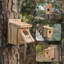 Boîte à nid d'oiseaux
