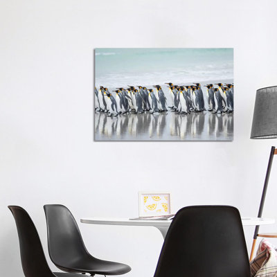 King Penguin, Falkland Islands. by Martin Zwick - Wrapped Canvas Print