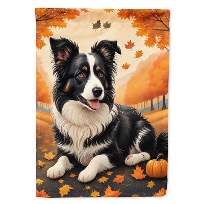 Border Collie Fall House Flag