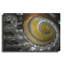 «Shell Spiral II» par Dennis Frates-1183867028