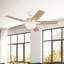 Erikson 52-In Fan + LED Kit With Bulb Ceiling Fan-103256061-103256058
