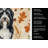 Black Bearded Collie Heirloom Fall Kitchen Towel-1218231517