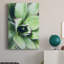 Green Tropical Succulent VI - Photographie sur toile tendue-1436260086