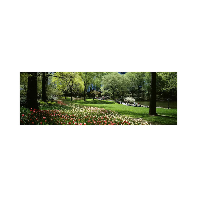 Flowers In A Park, Central Park, Manhattan, New York City, New York State, USA - Wrapped Canvas Panoramic Print