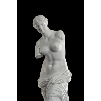 Statue Of Venus by Kozlik_Mozlik - Wrapped Canvas Print