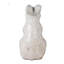 Statue de lapin debout glacé