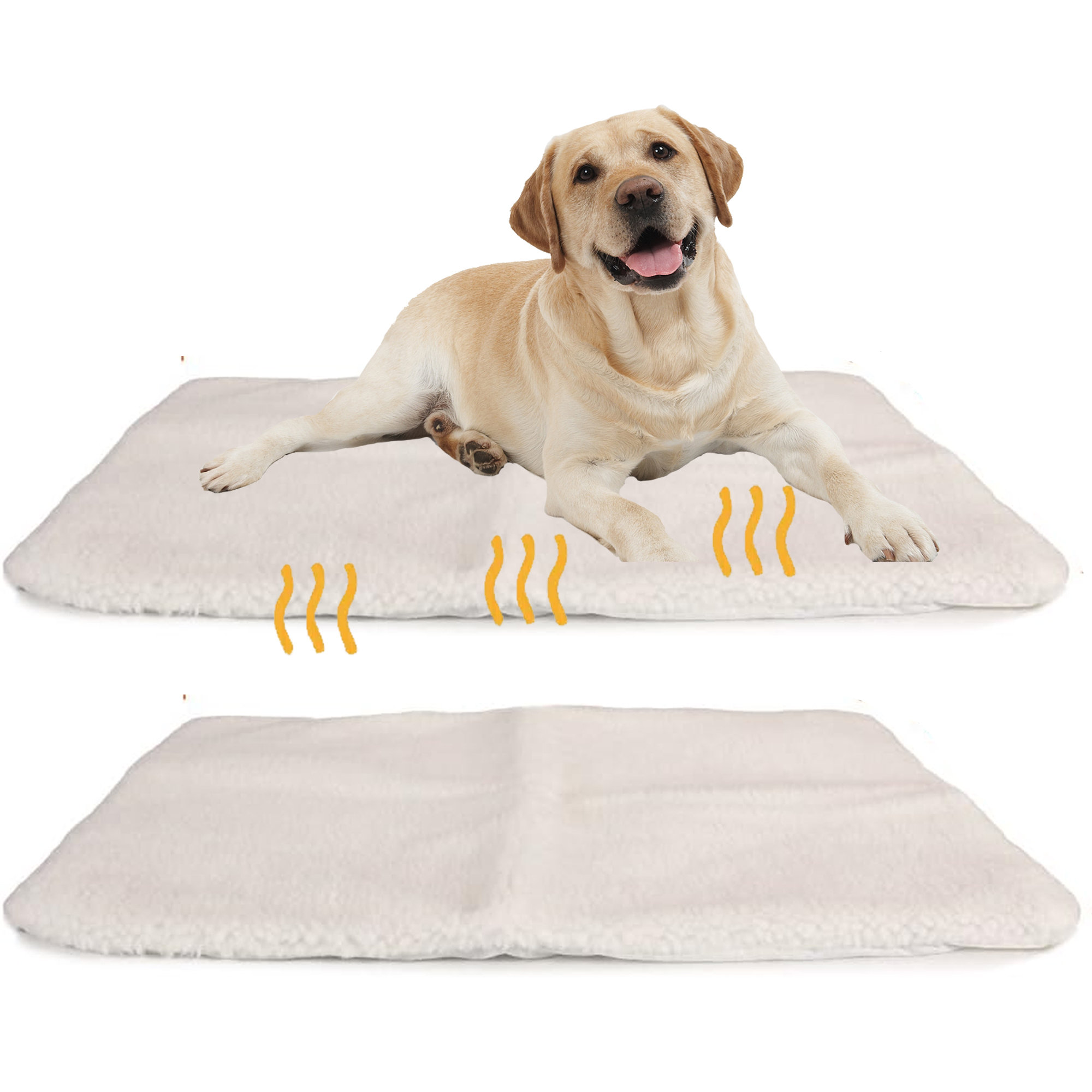 Dog mat outlet cat