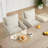 Alayaa Upholstered Armchair-72553221