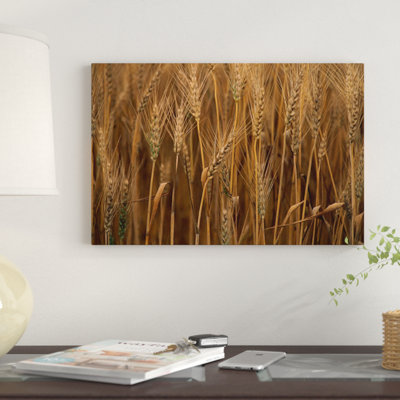 " Wheat Cultivated Sauvie Island Oregon " by Gerry Ellis