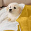 Couverture en molleton doux Microplush-657181713-631108282