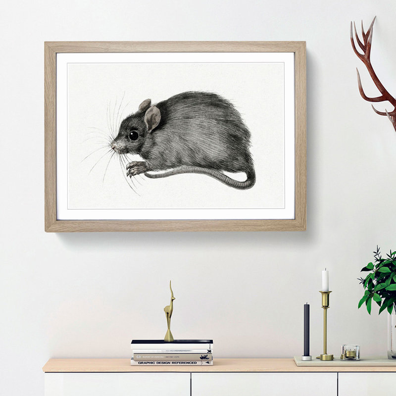 A Mouse by Jean Bernard - Framed Print, 33cm H x 45cm W x 2cm D, Oak Framed