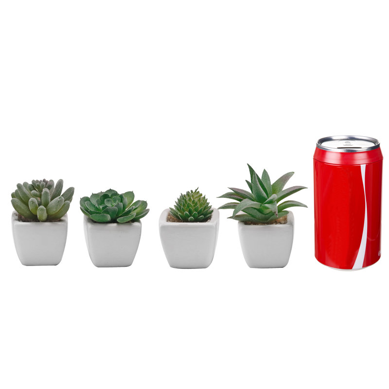 Ensemble de 4 plantes grasses artificielles en pot