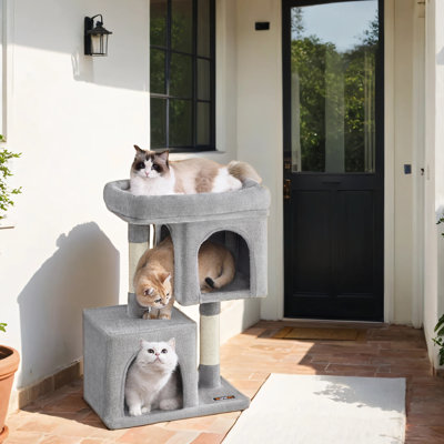 Arbre à chat pour petits chats d'intérieur