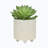 Kasiya Ceramic Pot Planter
