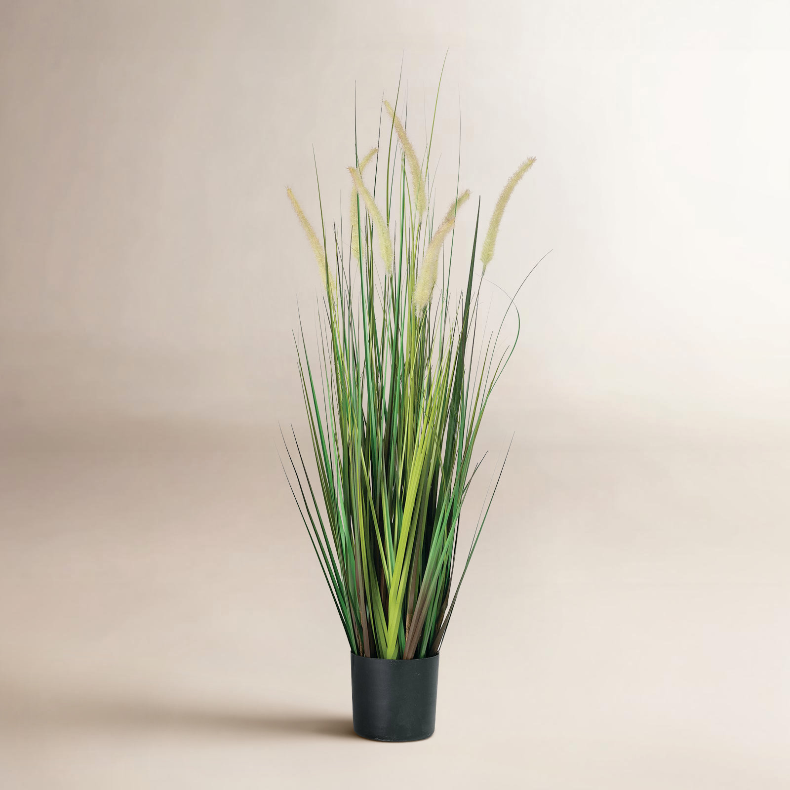 Faux Dogtail Grass in Pot, 38" H x 10" W x 10" D