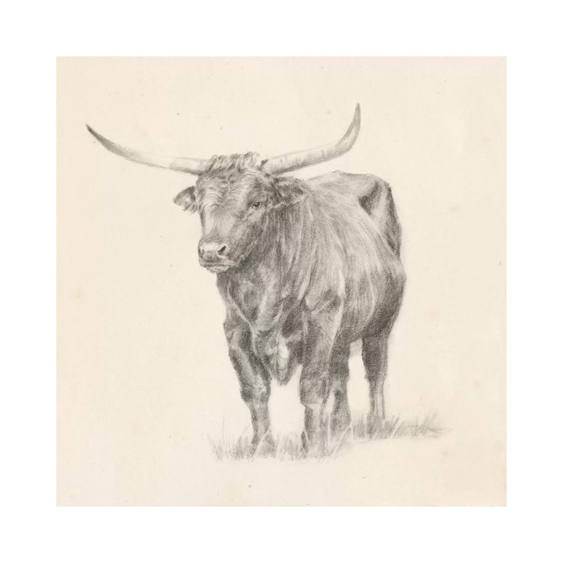 "Longhorn Steer sketch I" par Ethan Harper, reproduction d’art, Pas de tapis, Toile tendue, H 12 po x l 12 po x P 0,75 po