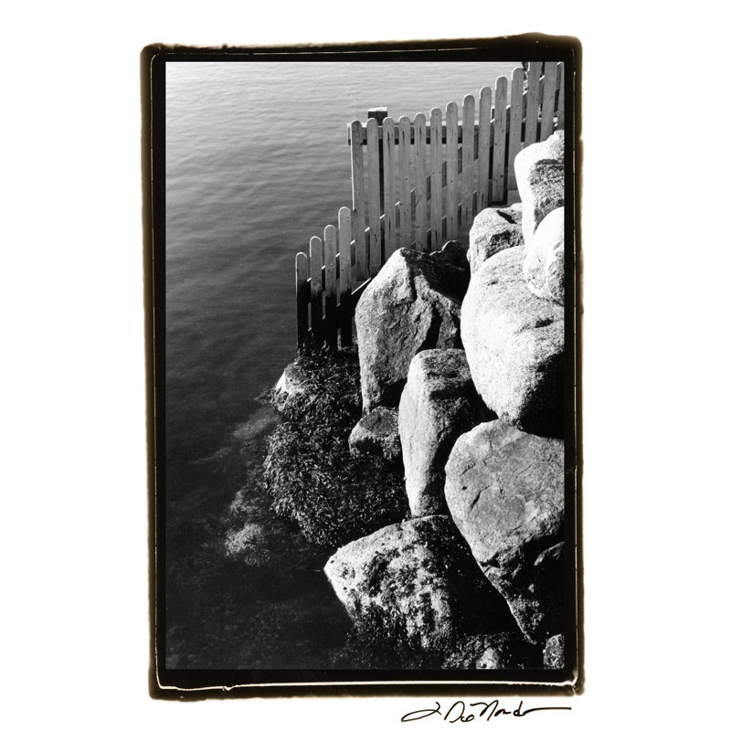 Fenced In by Laura DeNardo - Wrapped Canvas Print, 46cm H x 30cm W