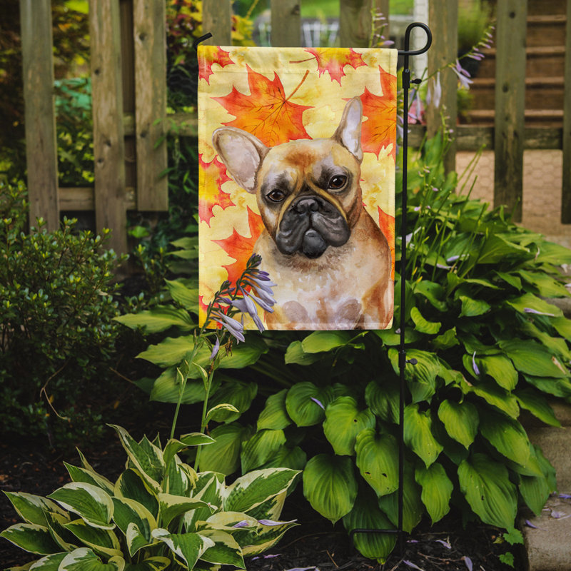 Automne 2 côtés en polyester 15 x 11 po drapeau de jardin, Bouledogue français blond