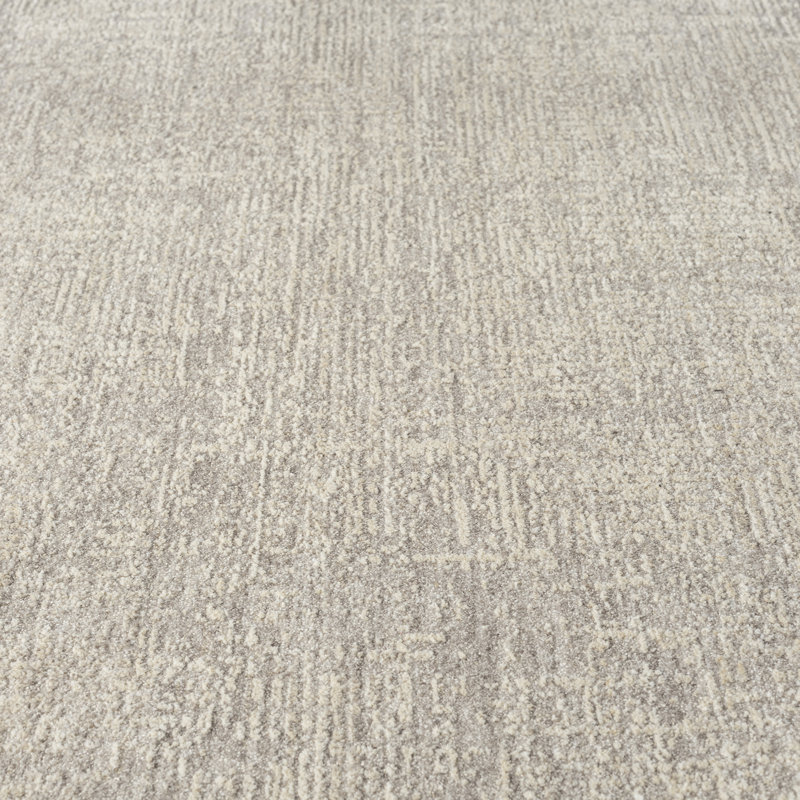 Silver/Cream Farmhouse Distressed Power-Loomed Indoor Area Rug, Rectangle 2' x 3'