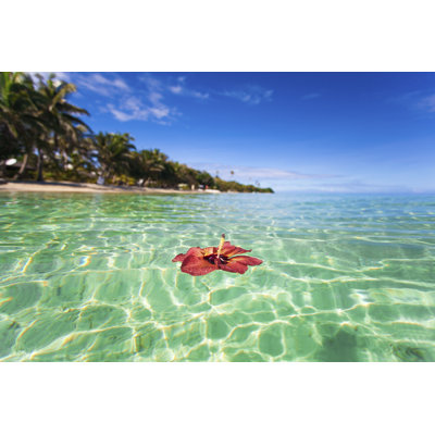 Tropical Island - Wrapped Canvas Print