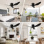 Ceiling Fan