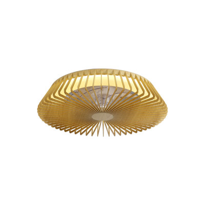 Himalaya 63cm Ceiling Fan with LED Lights
