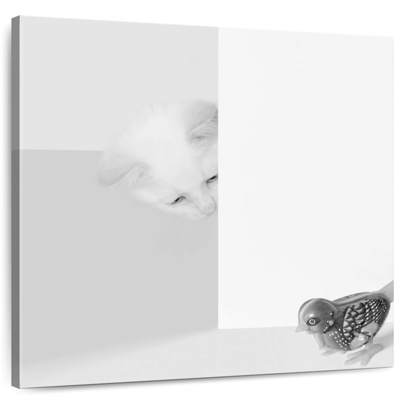 Crowle Peek A Boo Cat, H 30 po x l 30 po