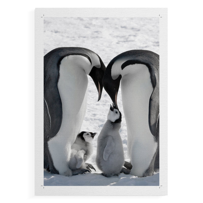Famille Snow Hill Island - Impression sur toile seulement - NON-CADRE, H 27 po x l 18 po