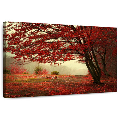 Harnek arbre rouge automne