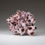 Shell Stone Decorative Object