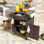 Chariot de barbecue extérieur avec plateau en acier inoxydable, abattant, armoire de rangement et roues verrouillables-126059430