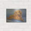 "Sophie, fond bleu" par Janet Pidoux-1519785710
