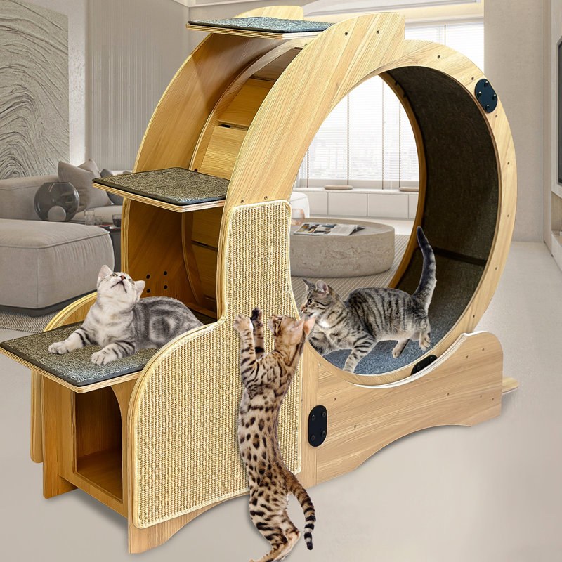 Roue de sport pour chat 5-en-1, structure d'escalade en bois avec roue de chat, roue de remise en forme pour litière pour chat, centre d'activités d'intérieur pour chat à roulettes surdimensionné