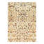Oriental Area Rug in Ivory