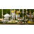 Gione Bone China 7" Appetizer Plate